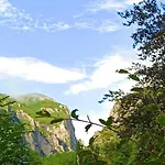 La Ginestra