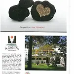 La Ginestra Hotel 3*