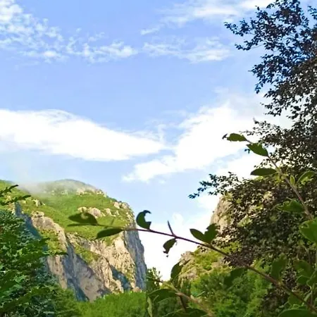 La Ginestra