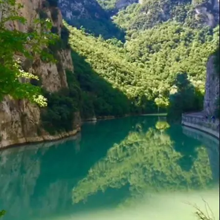 La Ginestra
