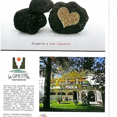 La Ginestra