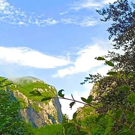 La Ginestra 3*